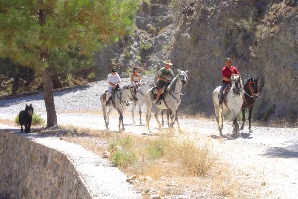 Bárig Cabanas Y Bungalows La Falaguera מראה חיצוני תמונה